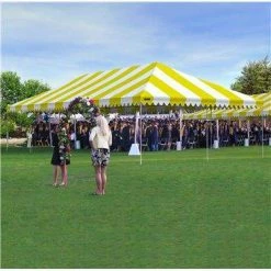 TarpsPlus Party Tent 20' X 40'- Blowout Sale CLOSEOUTS